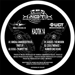 Kaotik 14 - vinyle tribe