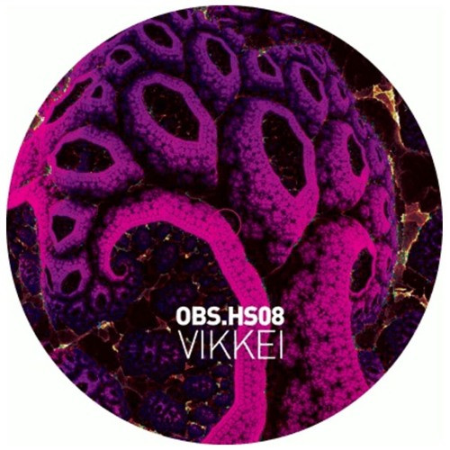Obscur HS 08 RP - vinyle acid