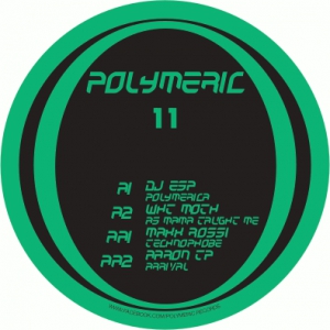 Polymeric 11 - vinyle acid